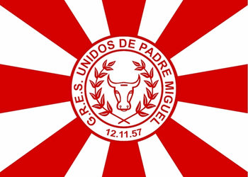 unidos de padre miguel bandeira