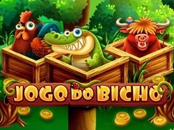 video bingo jogo do bicho online